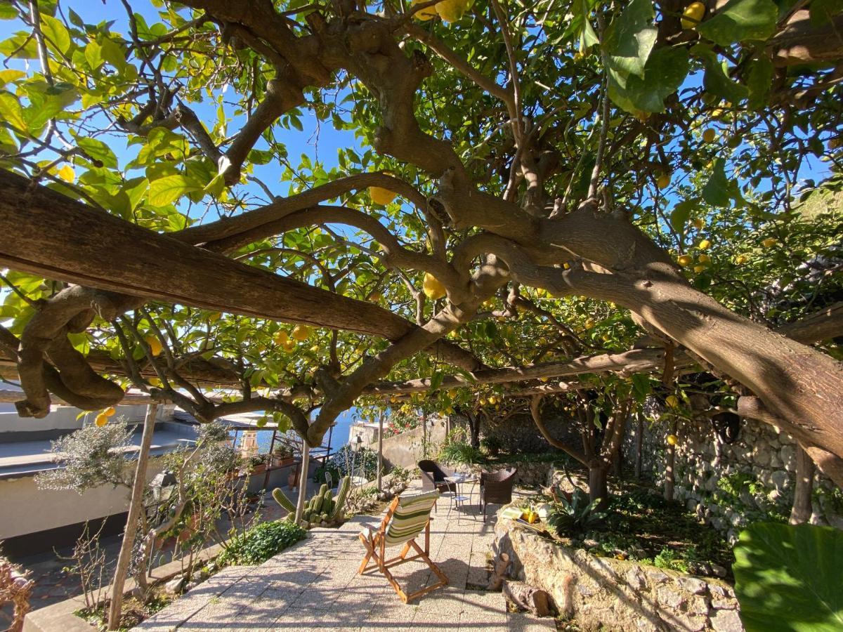 Giardino Eden Villa Праяно Экстерьер фото
