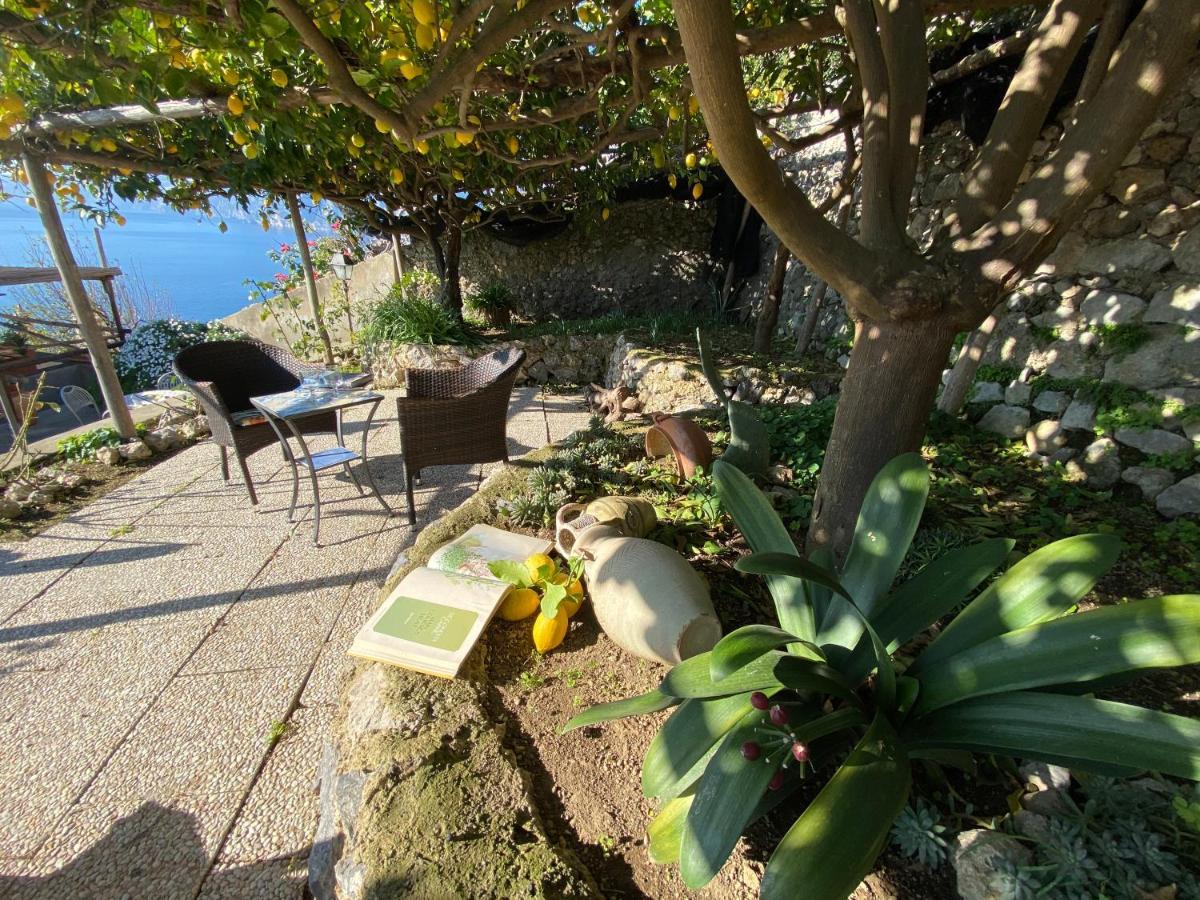 Giardino Eden Villa Праяно Экстерьер фото